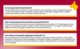 K9 Advantix II Flea and Tick Treatment for Extra Large Dogs weighing over 25 kg (over 55 lbs.)-4 doses