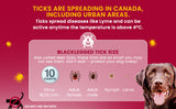 K9 Advantix II Flea and Tick Treatment for Extra Large Dogs weighing over 25 kg (over 55 lbs.)-4 doses