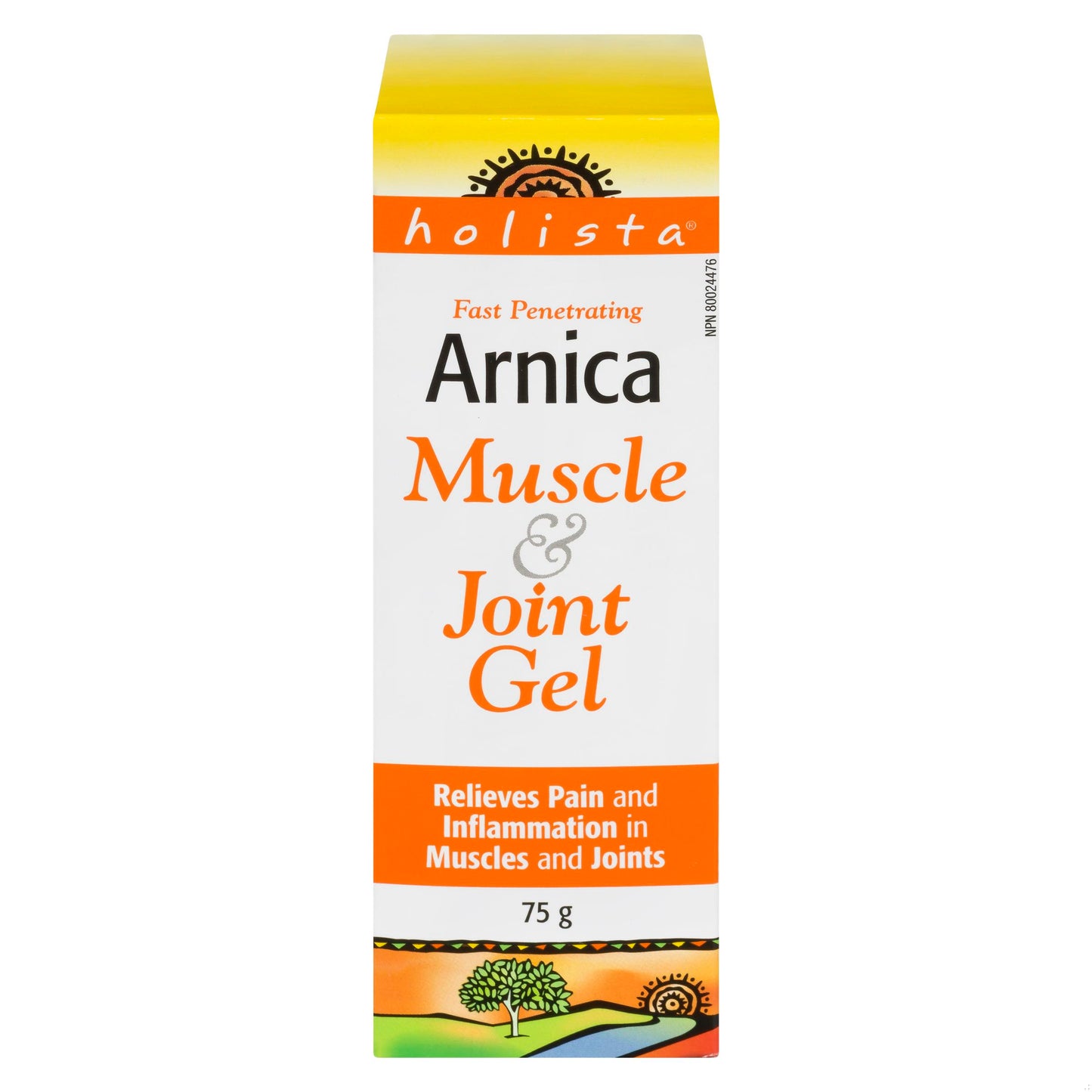 HOL ARNICA MUSCLE&JOINT GEL HOLISTA 75G